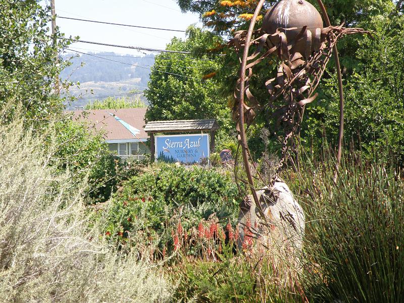 P6282151 Sierra Azul.jpg